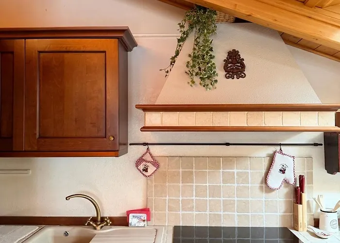 Apartment Urban Attic *